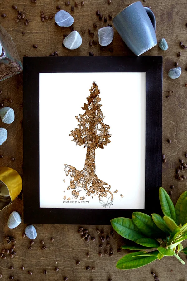 Evergreen Tree.jpg