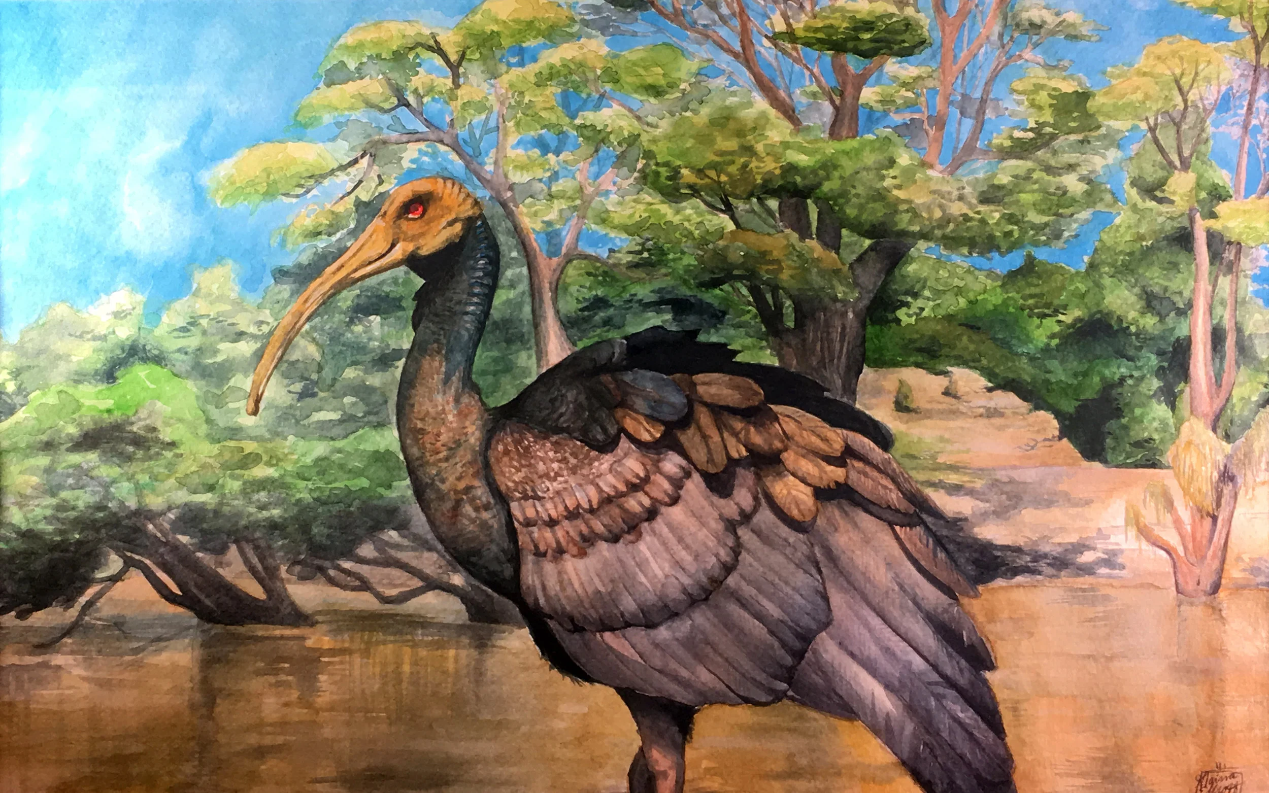 Alaina Elliot Bird in the Marsh Watercolor Steinert 19.5x25 Mercer County