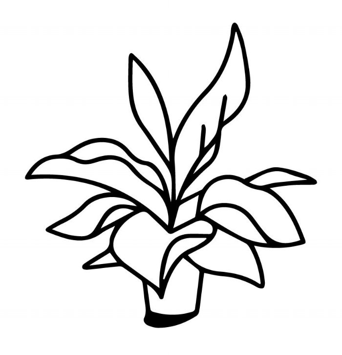 Lets grow an eco-community together.