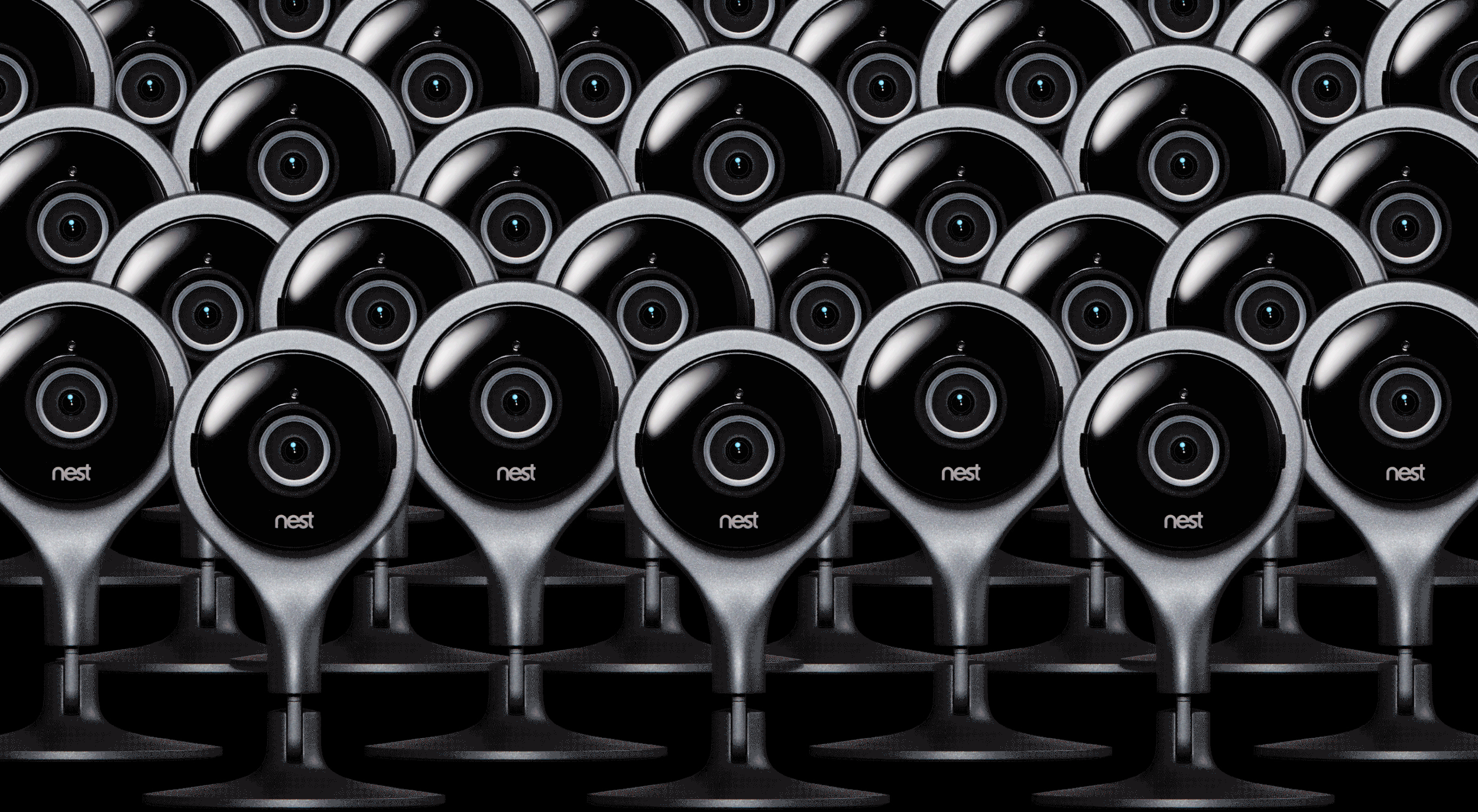 NEST_V2.gif