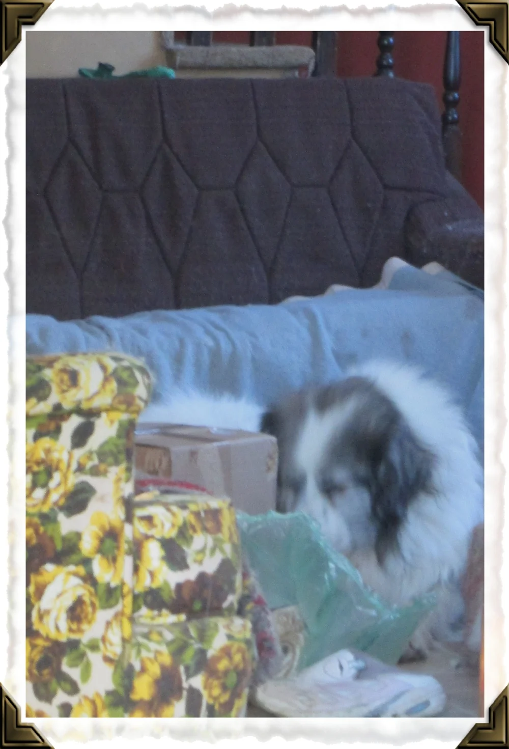 teagan116box1