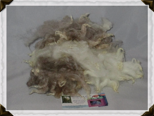 wool seconds.png