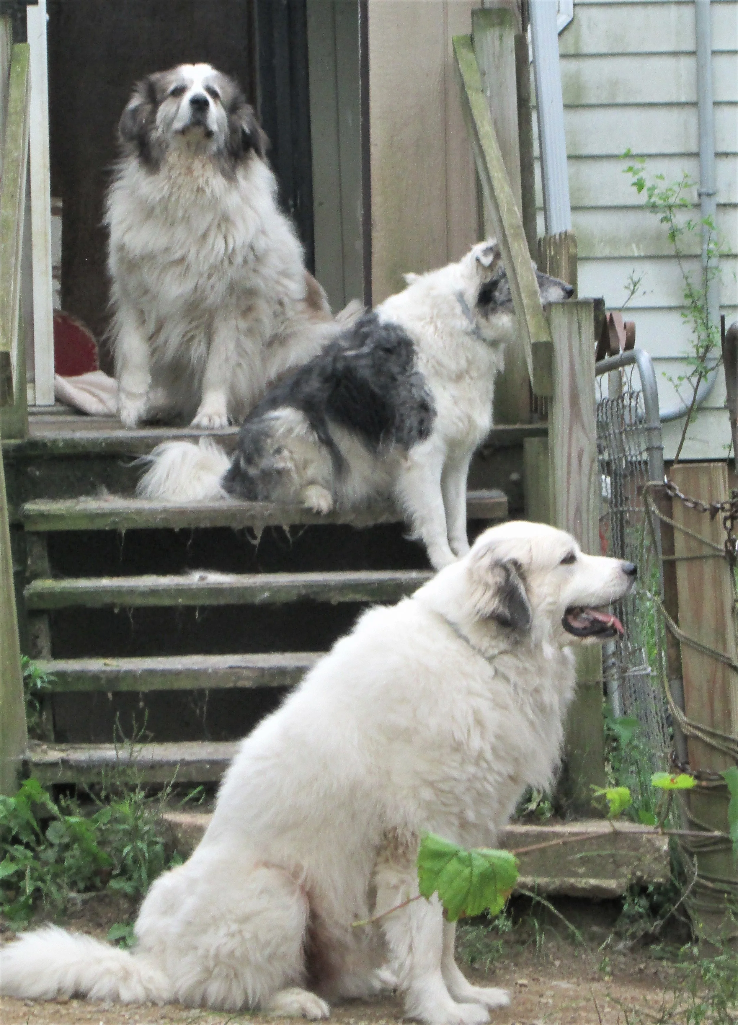 Ever wonder What goes on around this place? 