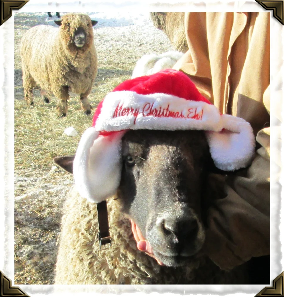 sonny1212santapipertoo.jpg