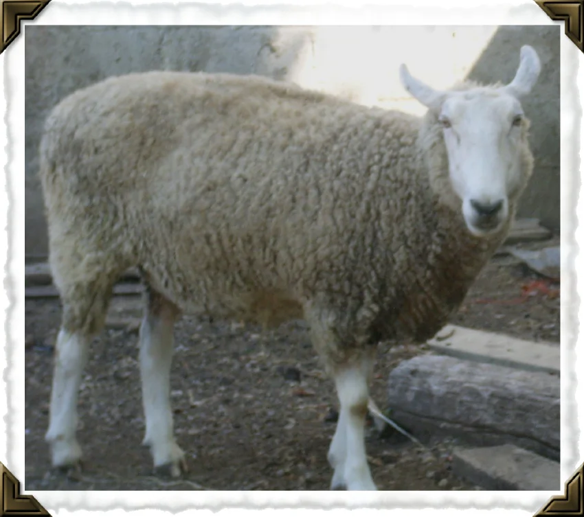 Young Baker in partial fleece!