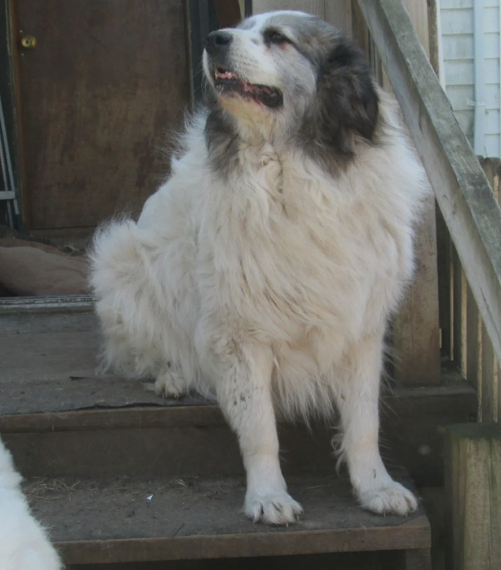 teagan516a.jpg