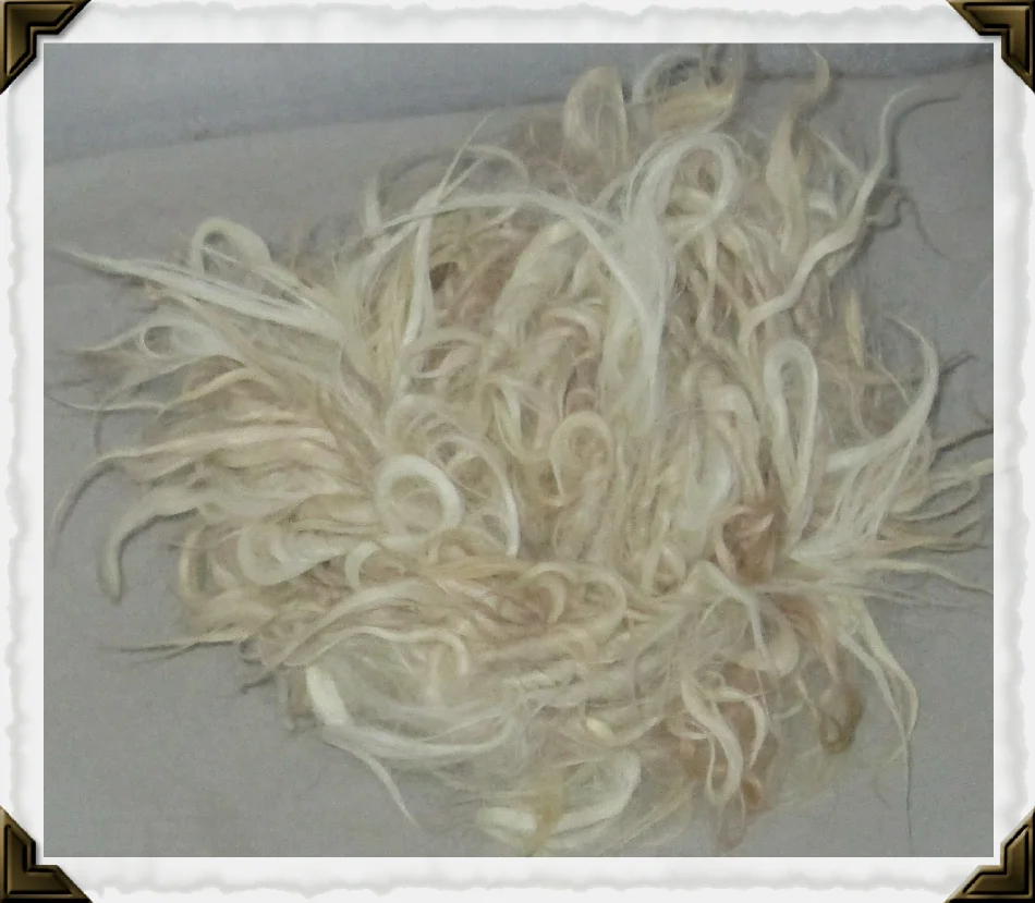 lash1216fawnsuri1a.jpg