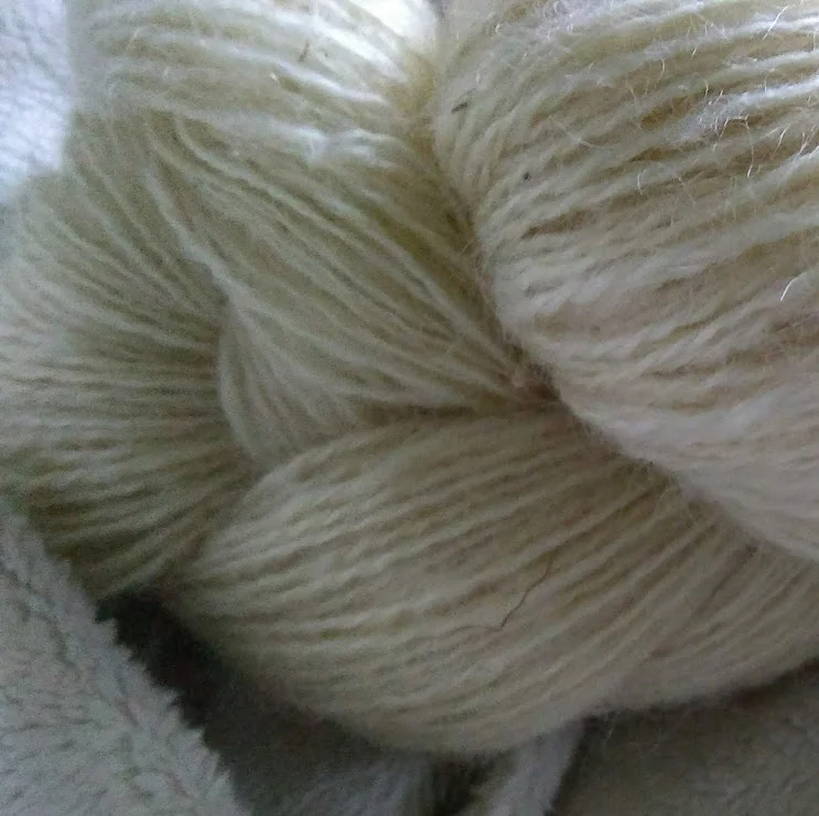 2ply519wens3.jpg