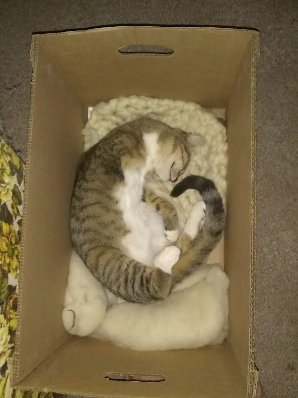 519sleepingonair.jpg