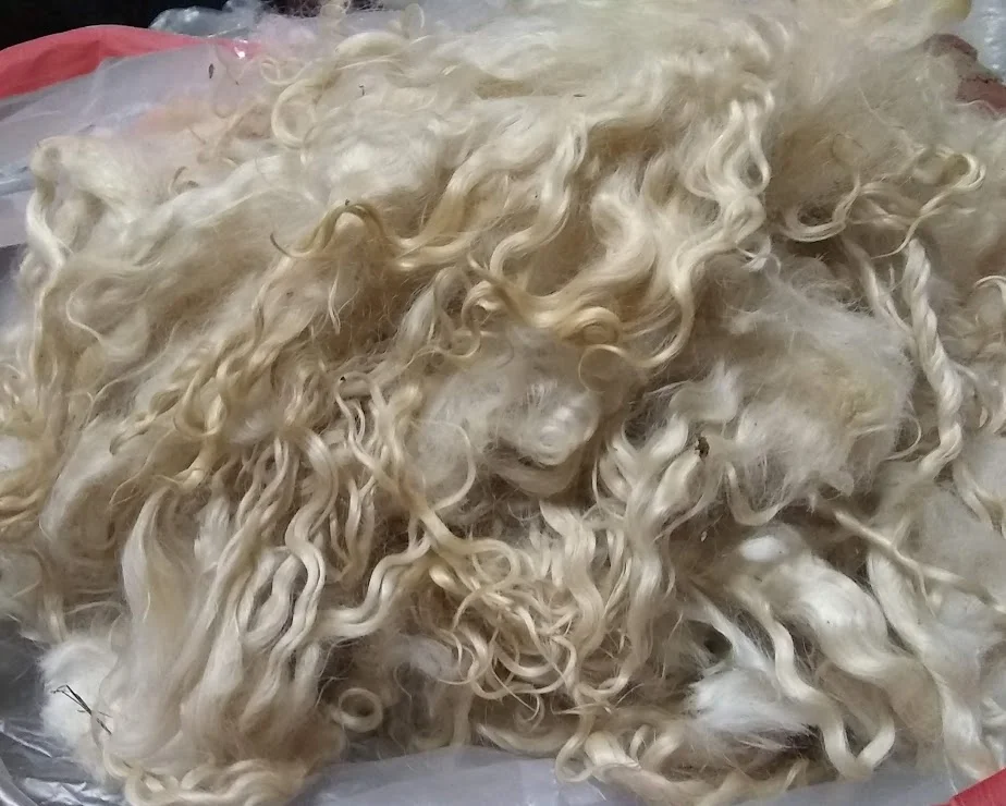 Kid Mohair!