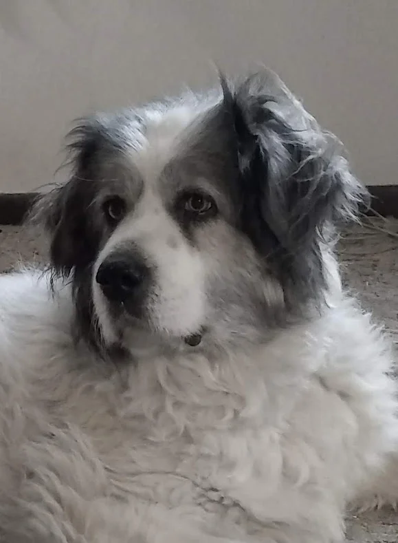 teagan819bwface.jpg