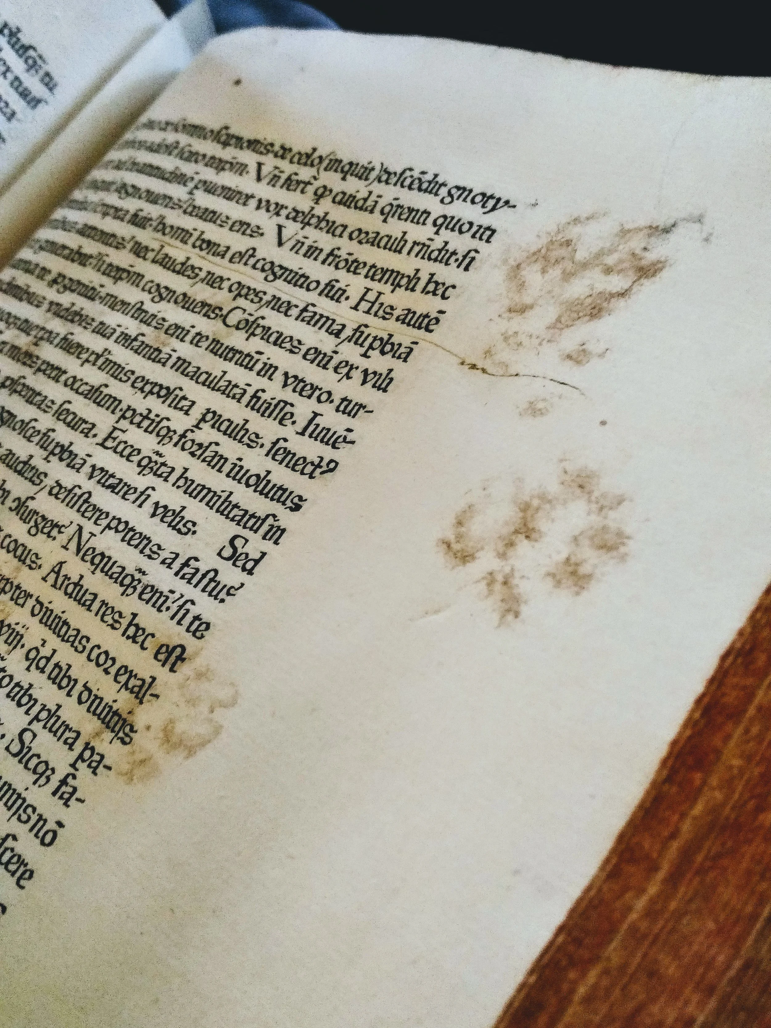 15th century cat paw-prints found in a 1475 Parisian printed collection of Latin works (Magdalen Arch. B.III.5)