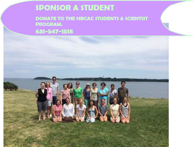 “Attending the Silent Spring Institute’s Annual Staff Retreat.”