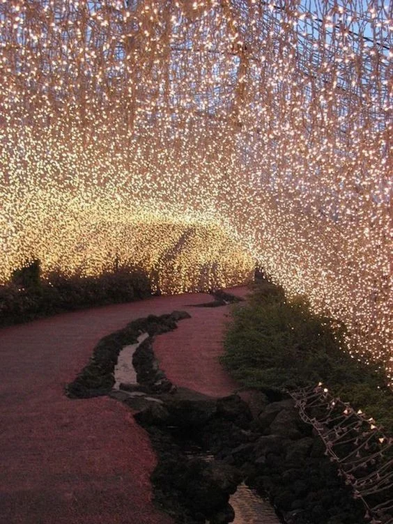Wow, this might be a bit much for some wedding couples, but talk about use of lighting...specifically strand and Christmas lights.