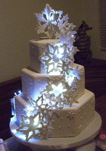 This one I just tossed in some incredibly unique, winter wedding cake lighting. What do you think?
