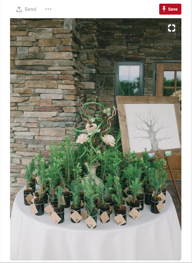 Another great idea to offer at wedding gifts for your guests is an actual tree!