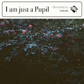 lcm046cover.jpg