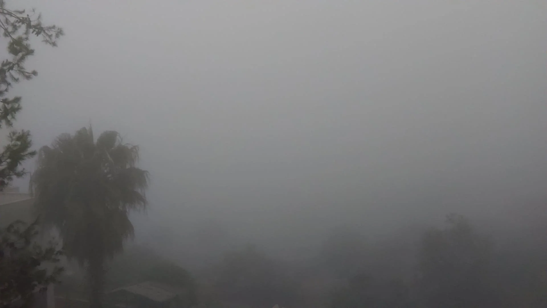 Morning fog in Ramallah