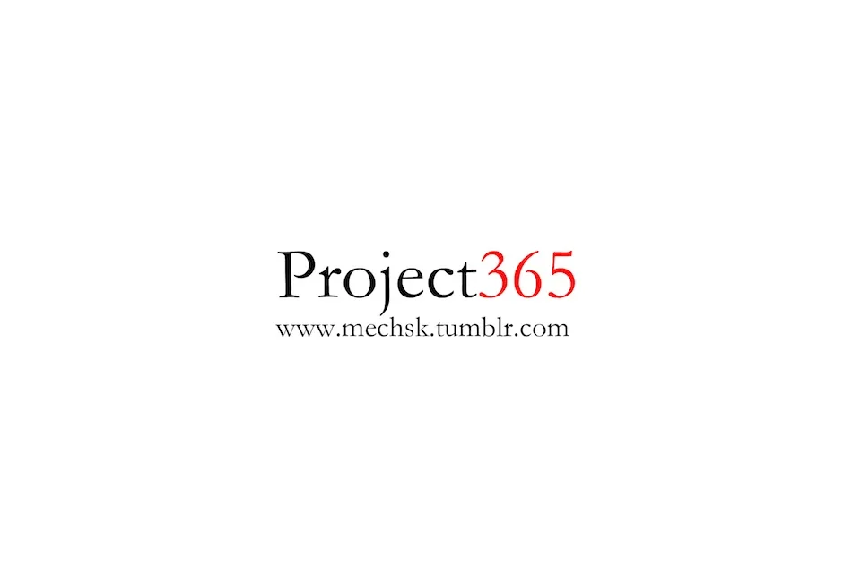 Project 365