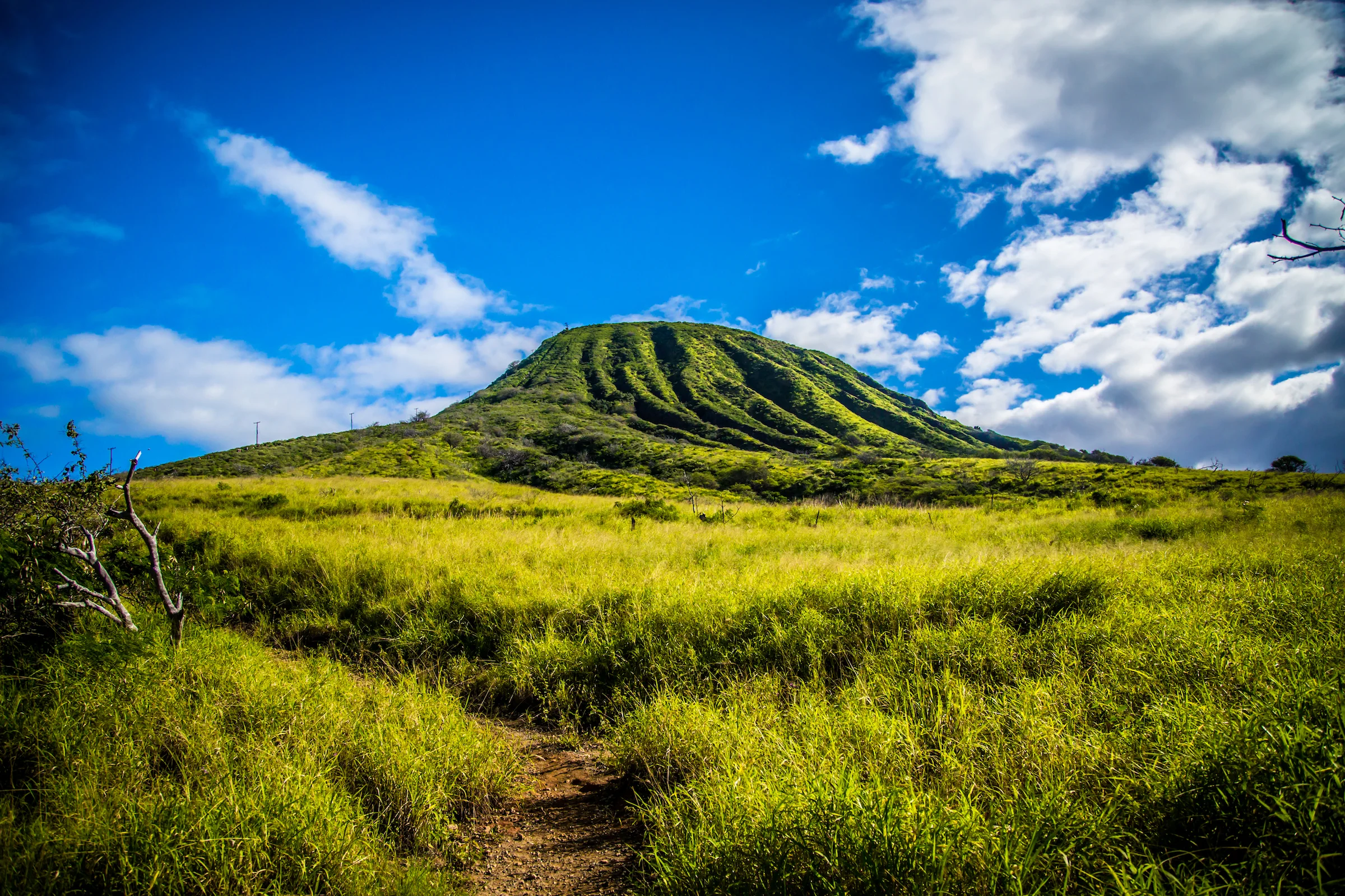 Hawaii - Hiking O'ahu