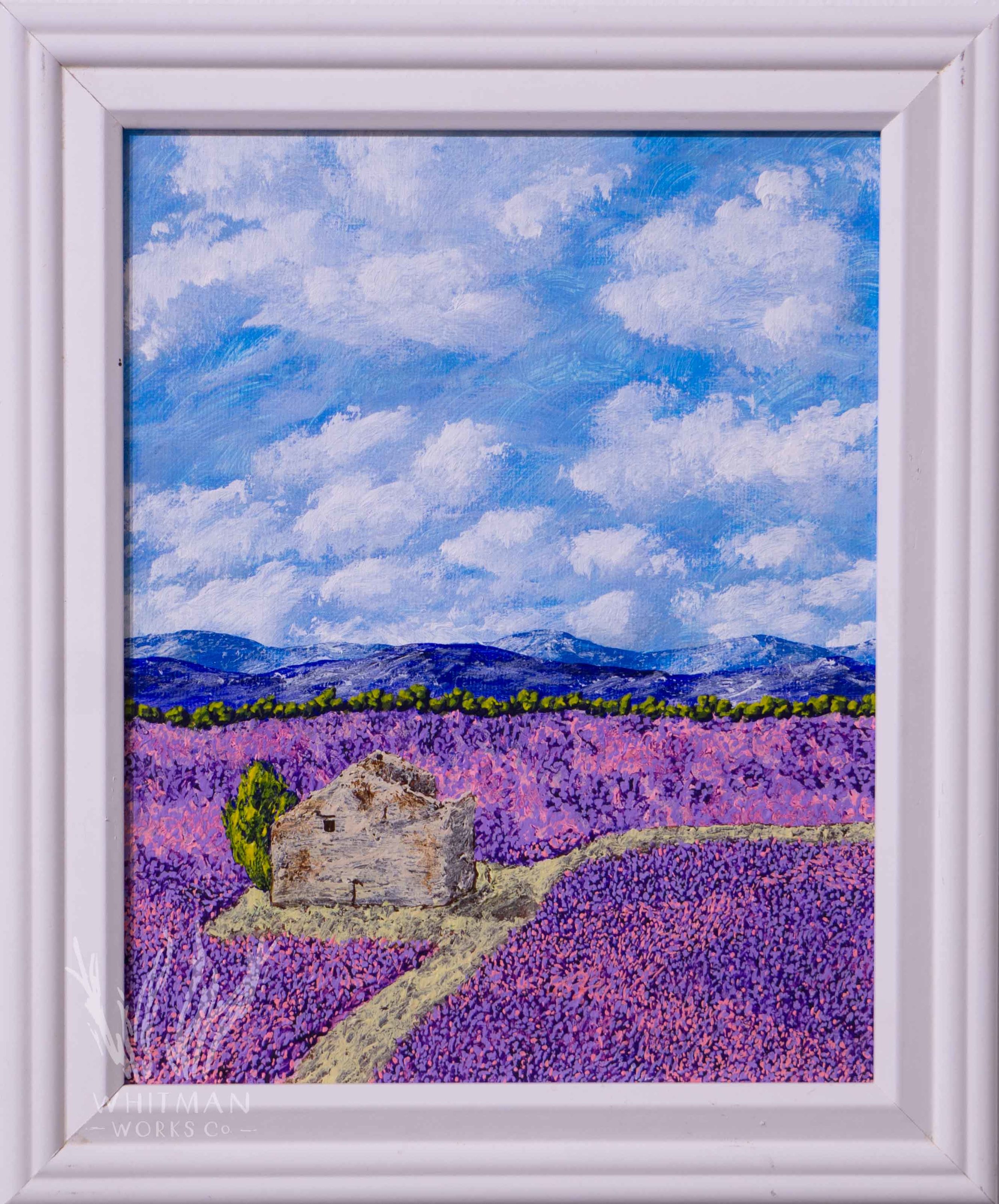 Fields of Lavender in Provence France