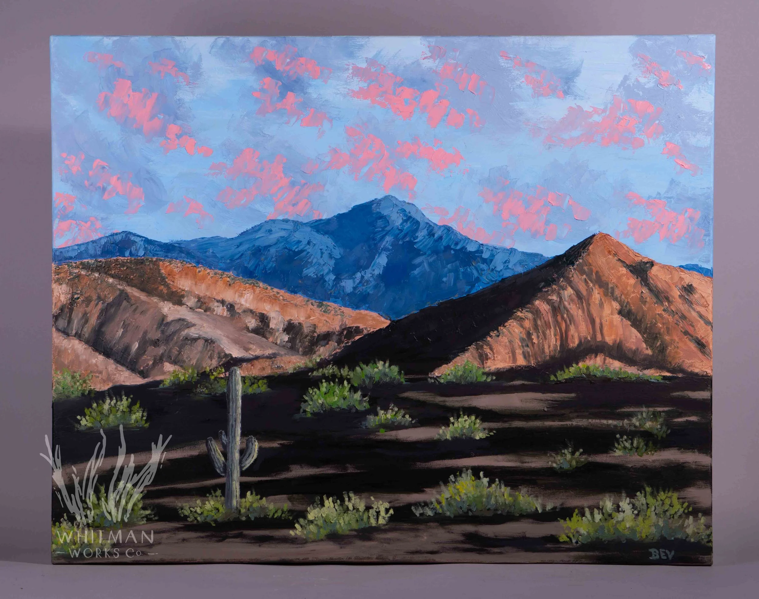 Arizona Valleys by Beverly Rafferty