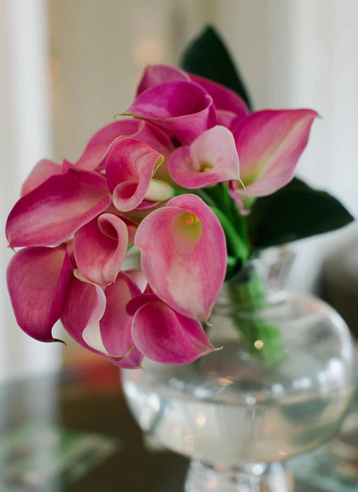 LifetimeOfLoveCelebration-Amaryllis-3.jpg