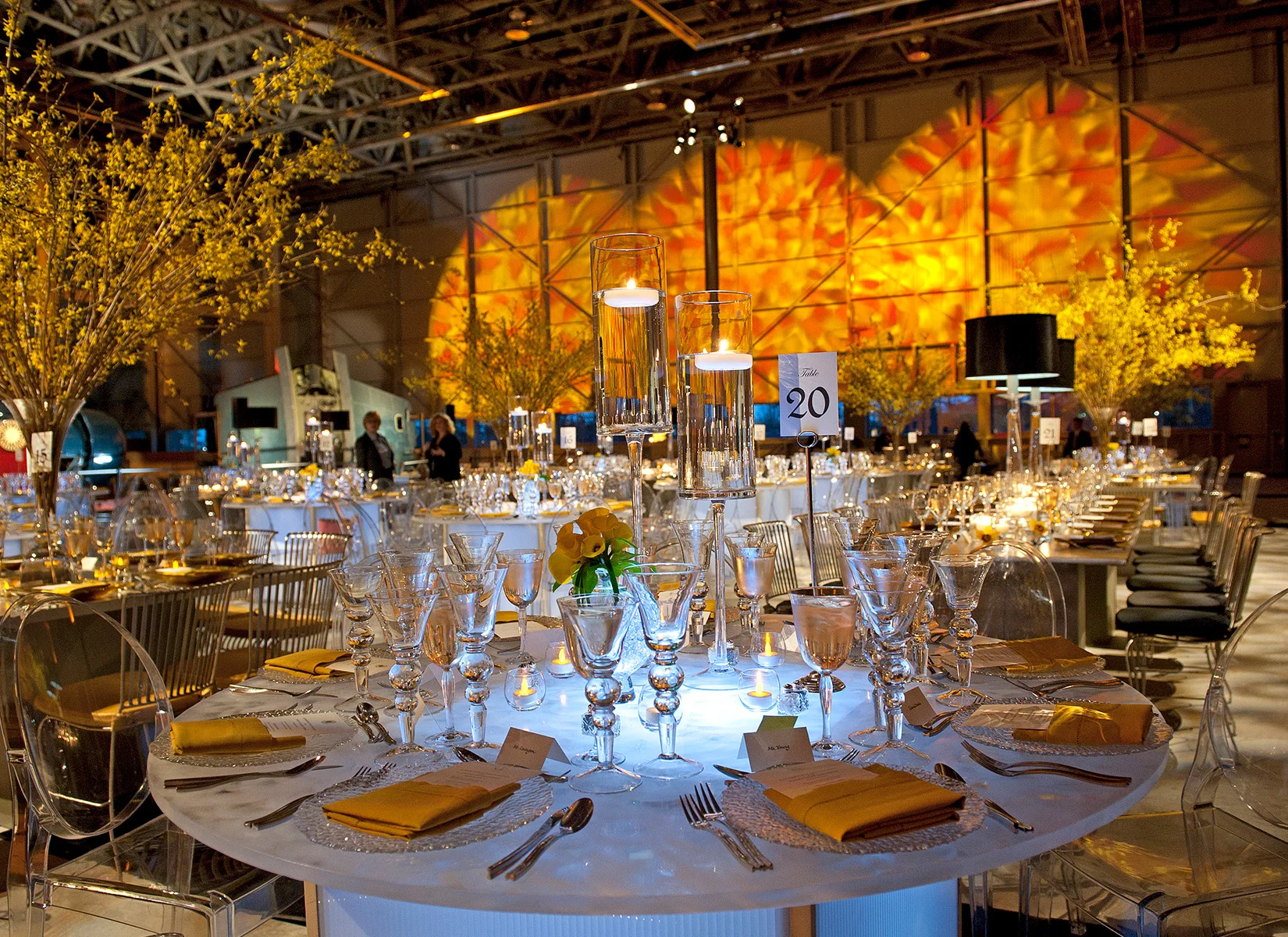 FancyFlightEvent-Amaryllis-2.jpg