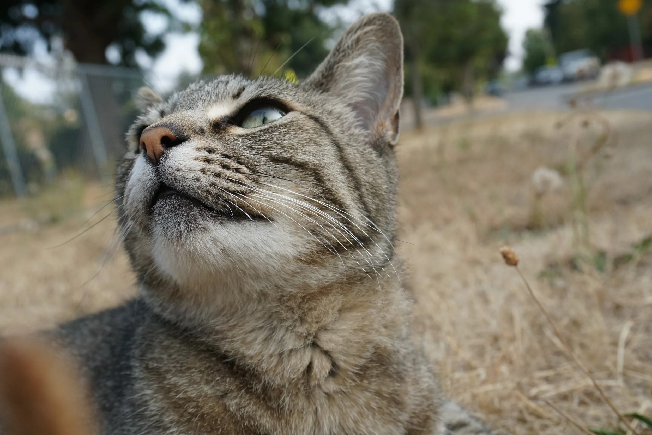 DSC01115 2.jpg