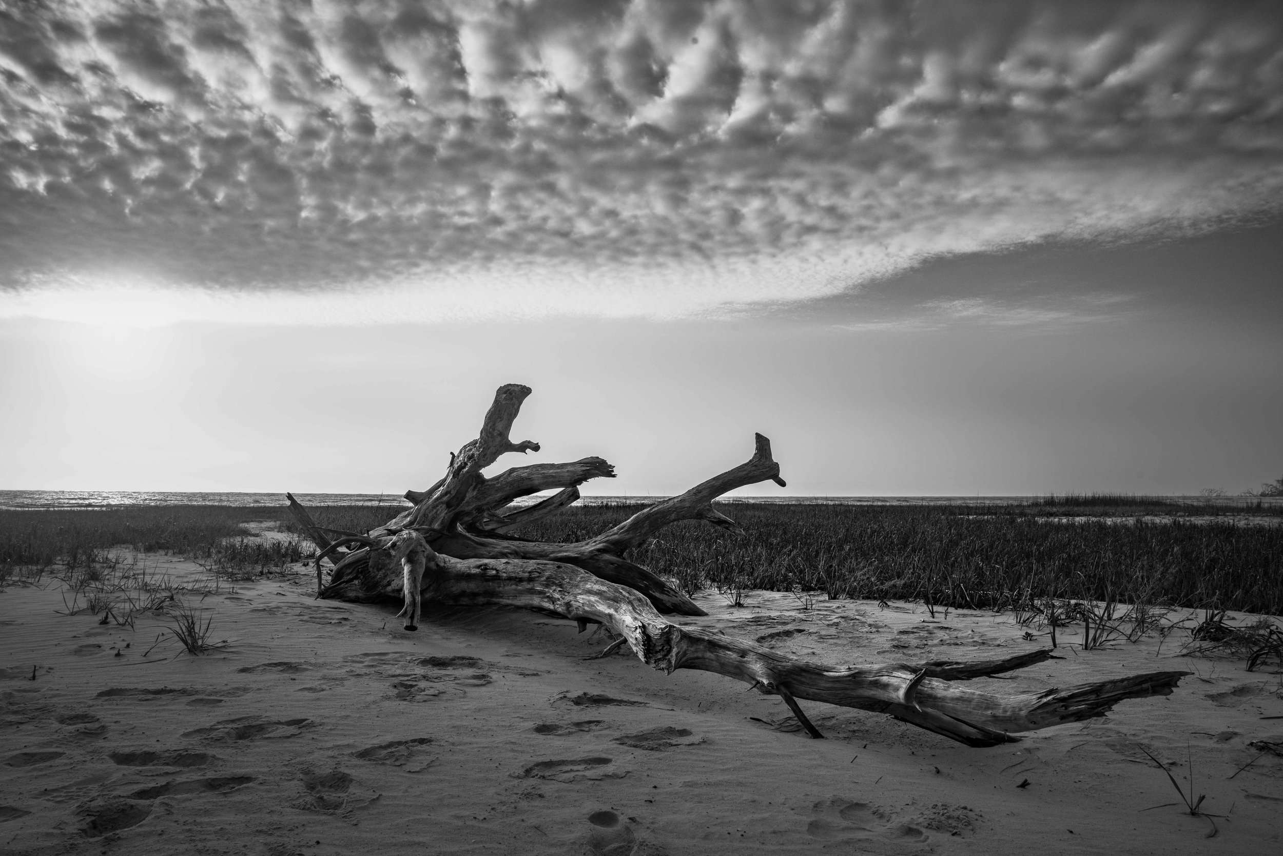 Driftwood and clouds on Little Tybee Island via micahdeyoung.com
