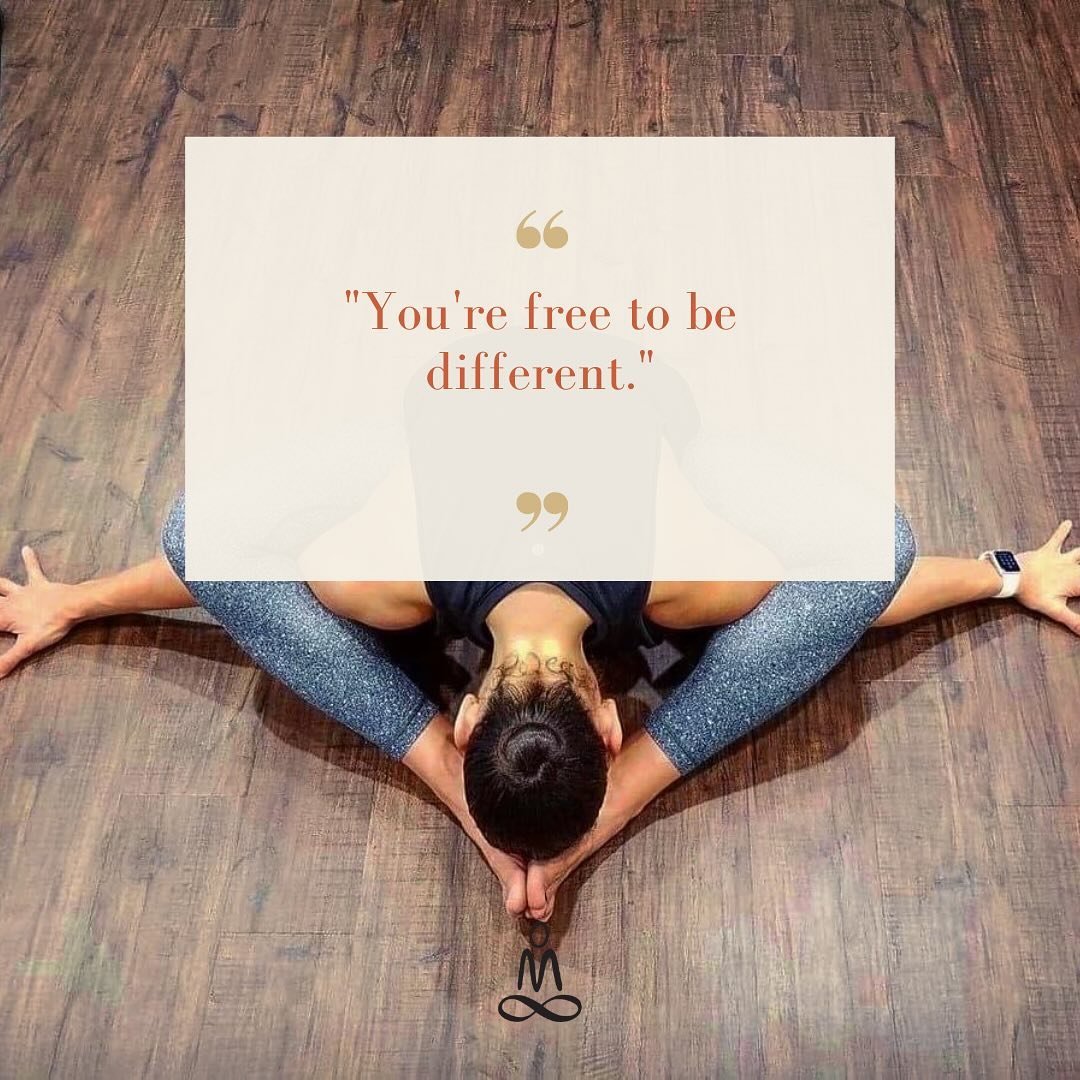 Tuesday Schedule

9:30-10:30am
Power Hour (Heated)
with Anne

5:30-6:30pm
Power Hour (Heated) 
with Kristine 

7:00-8:00pm
$5 Community Yoga (Warm)
with Laura 

Anytime

On Demand Class of the day

#empoweryoga #empower #yoga #yogaeverydamnday #yogas