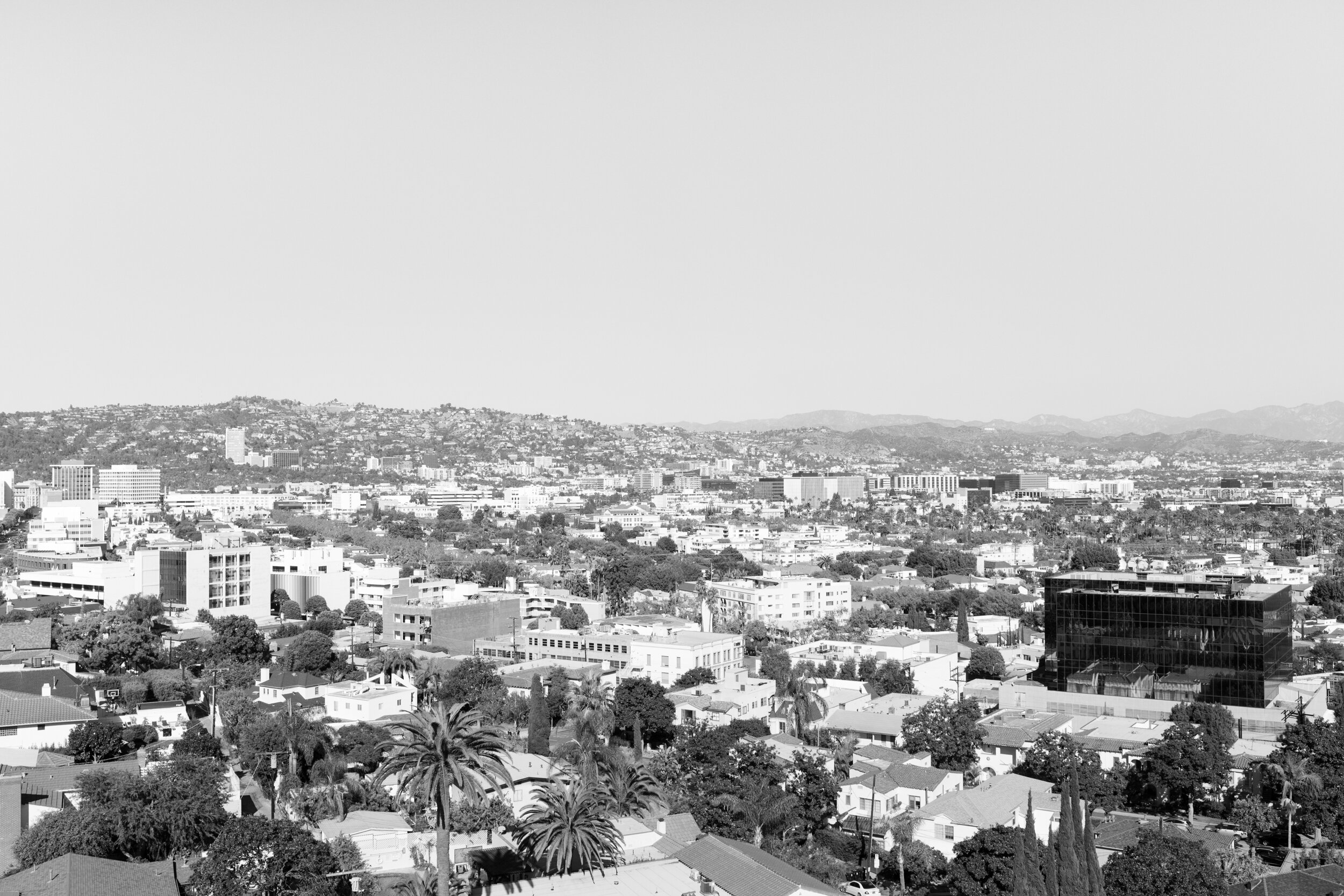 DSC_7444.jpg