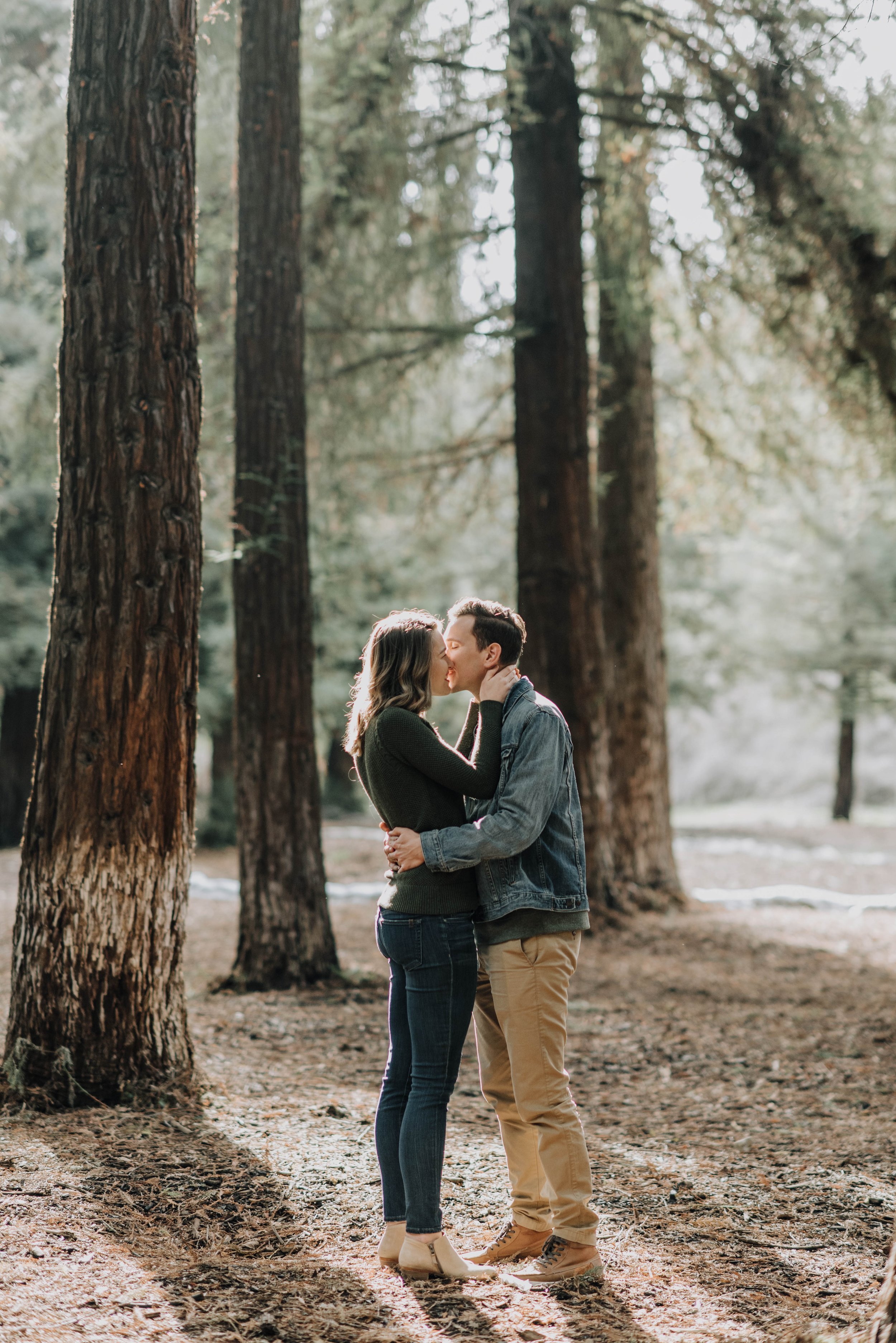 redwood-forest-orange-county-13.jpg