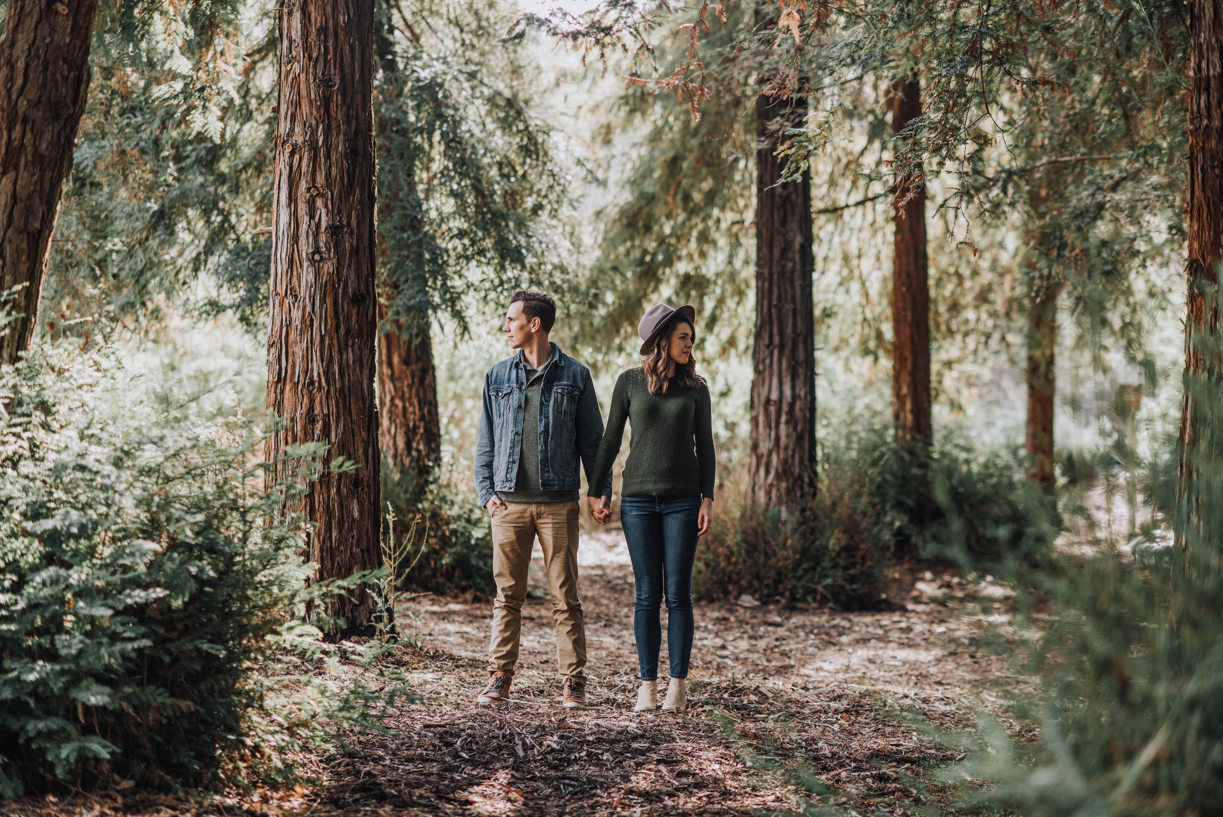 redwood-forest-orange-county-43.jpg