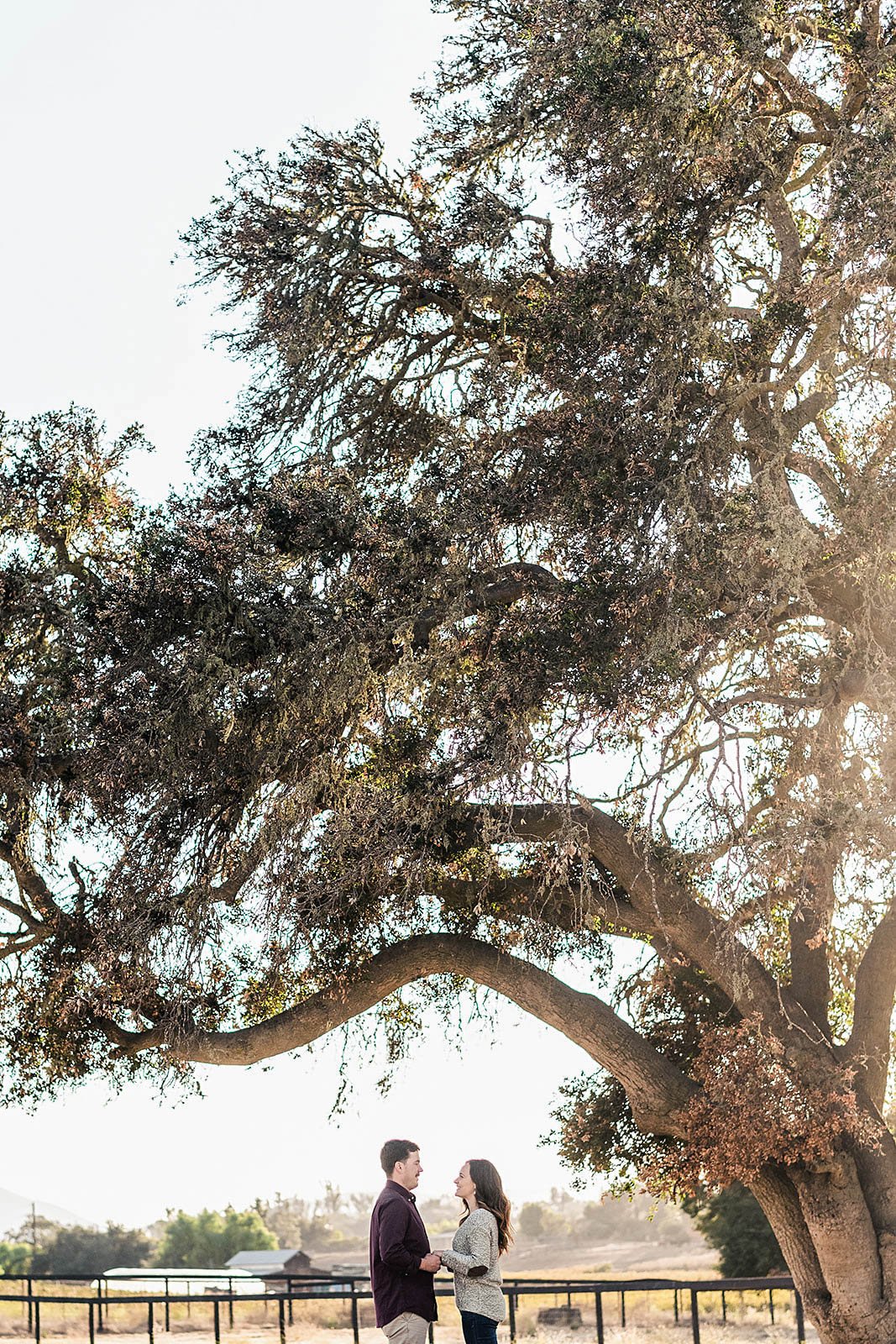 santa-ynez-engagement-session-17.jpg