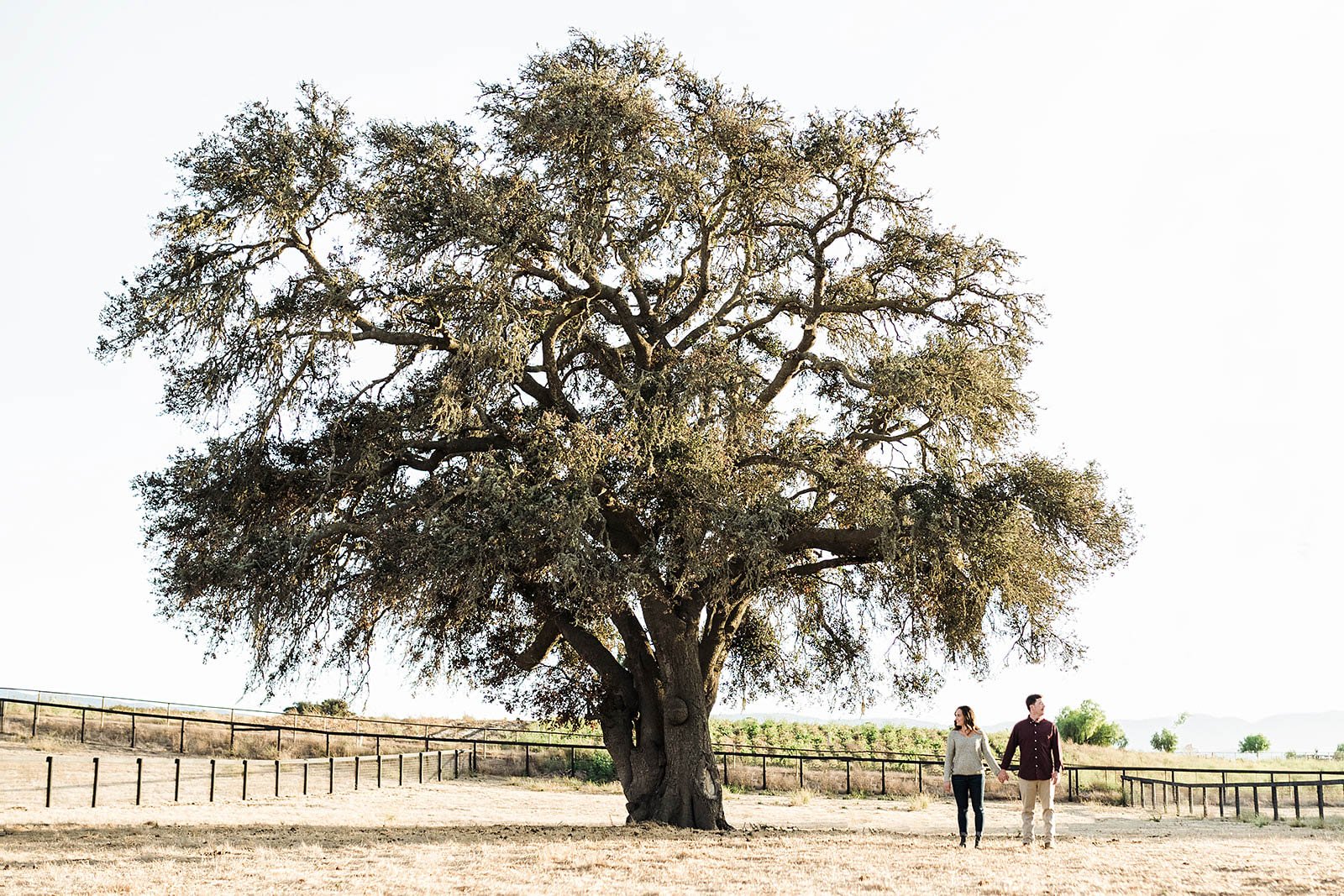 santa-ynez-engagement-session-43.jpg