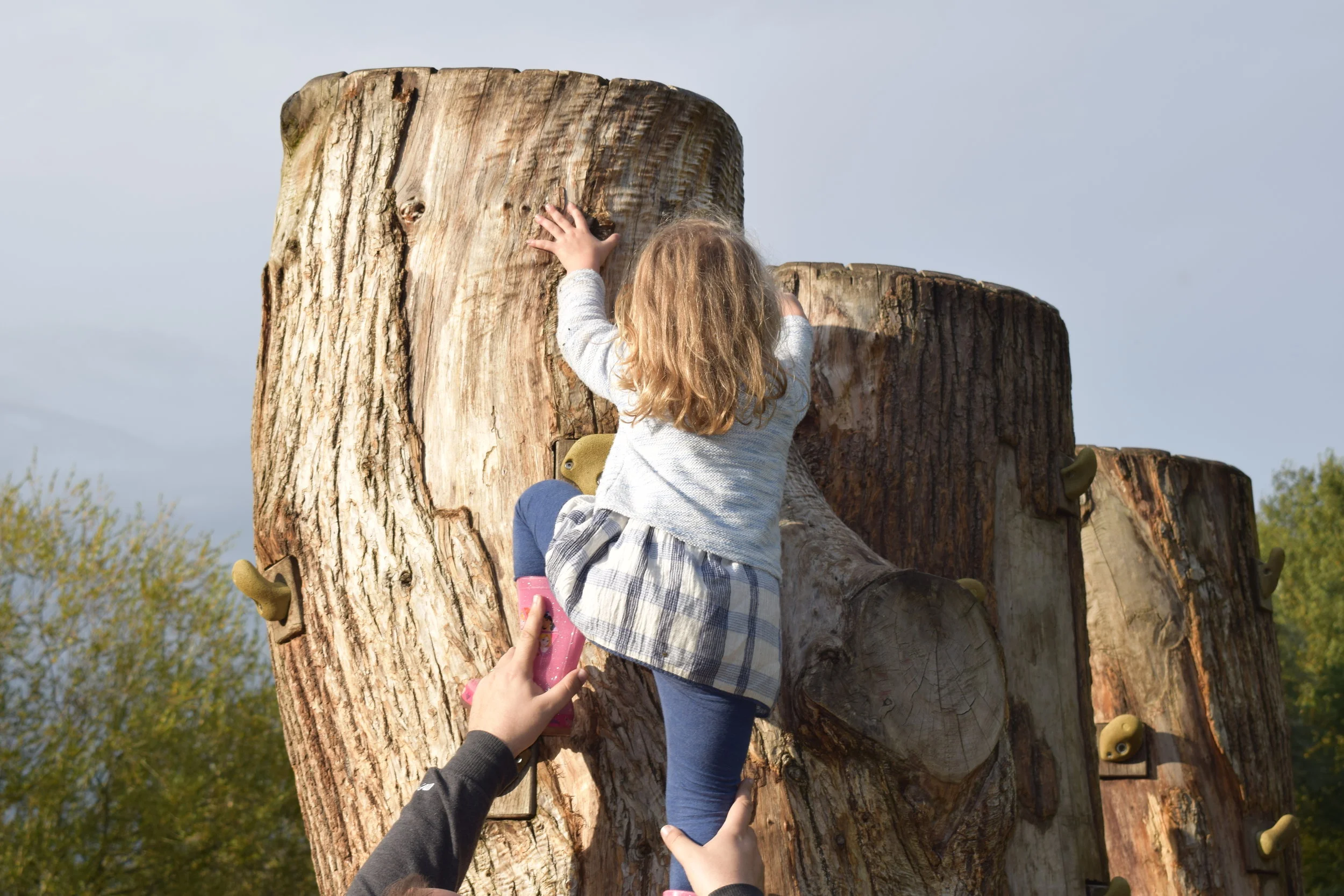 The Importance of Vitamin D