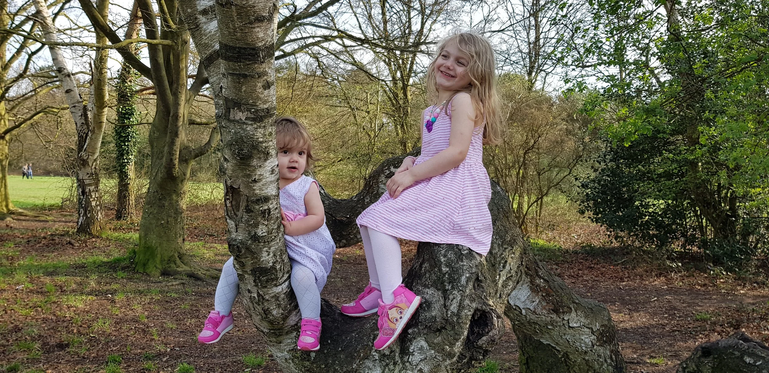 Sunny Days at Burnham Beeches | UK Family Days Out