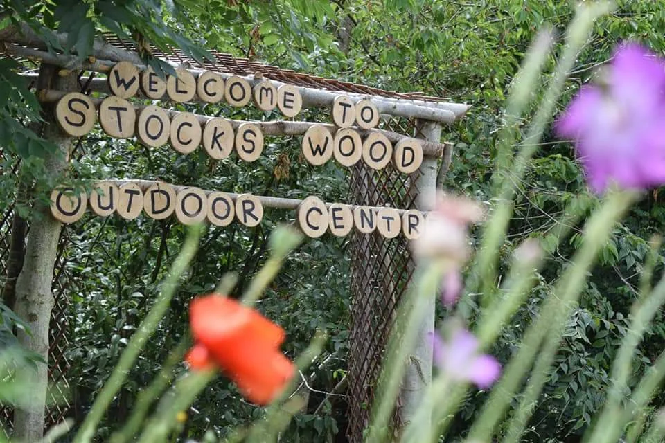 Searching for Creatures Outdoors | Blogtober 2018 | Me Becoming Mum