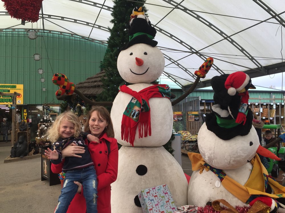 Are dogs allowed in baytree garden centre