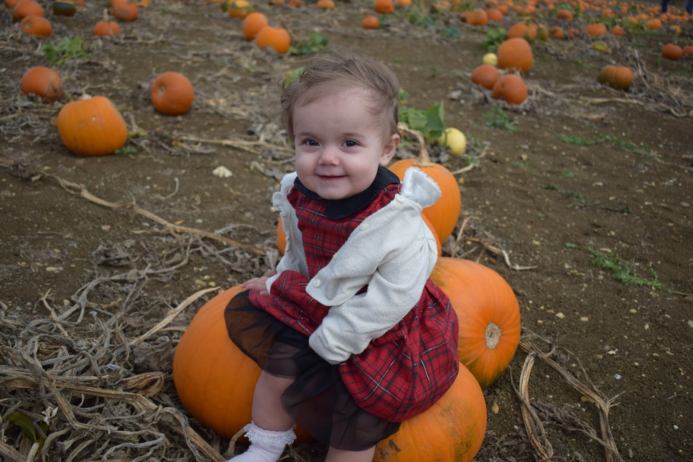 Sitting on a pumpkin.jpeg