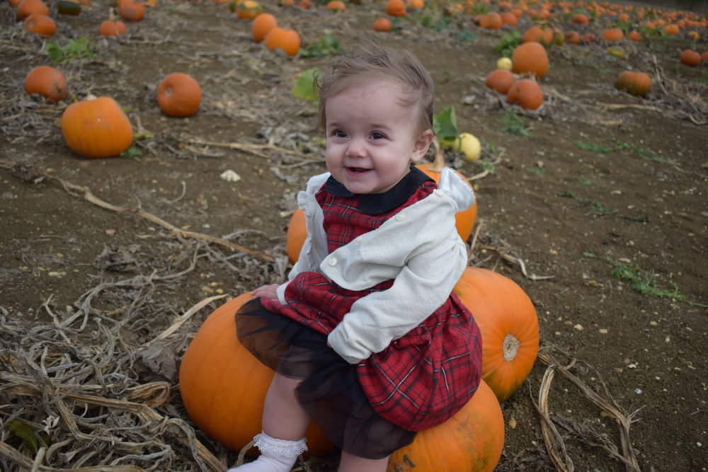 Pumpkin patch fun.jpeg