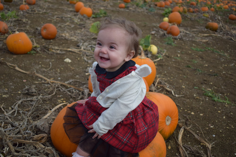 Toddler on a pumpkin.jpeg
