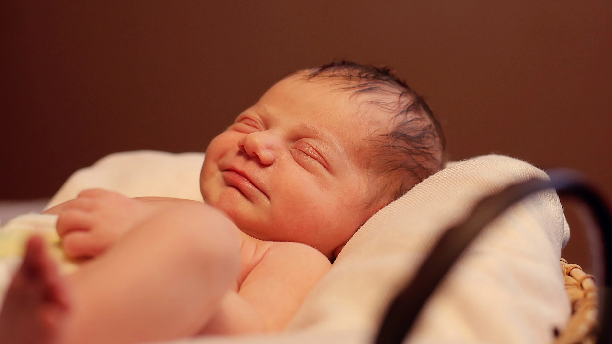 Newborn Photoshoots | Newborn Memories