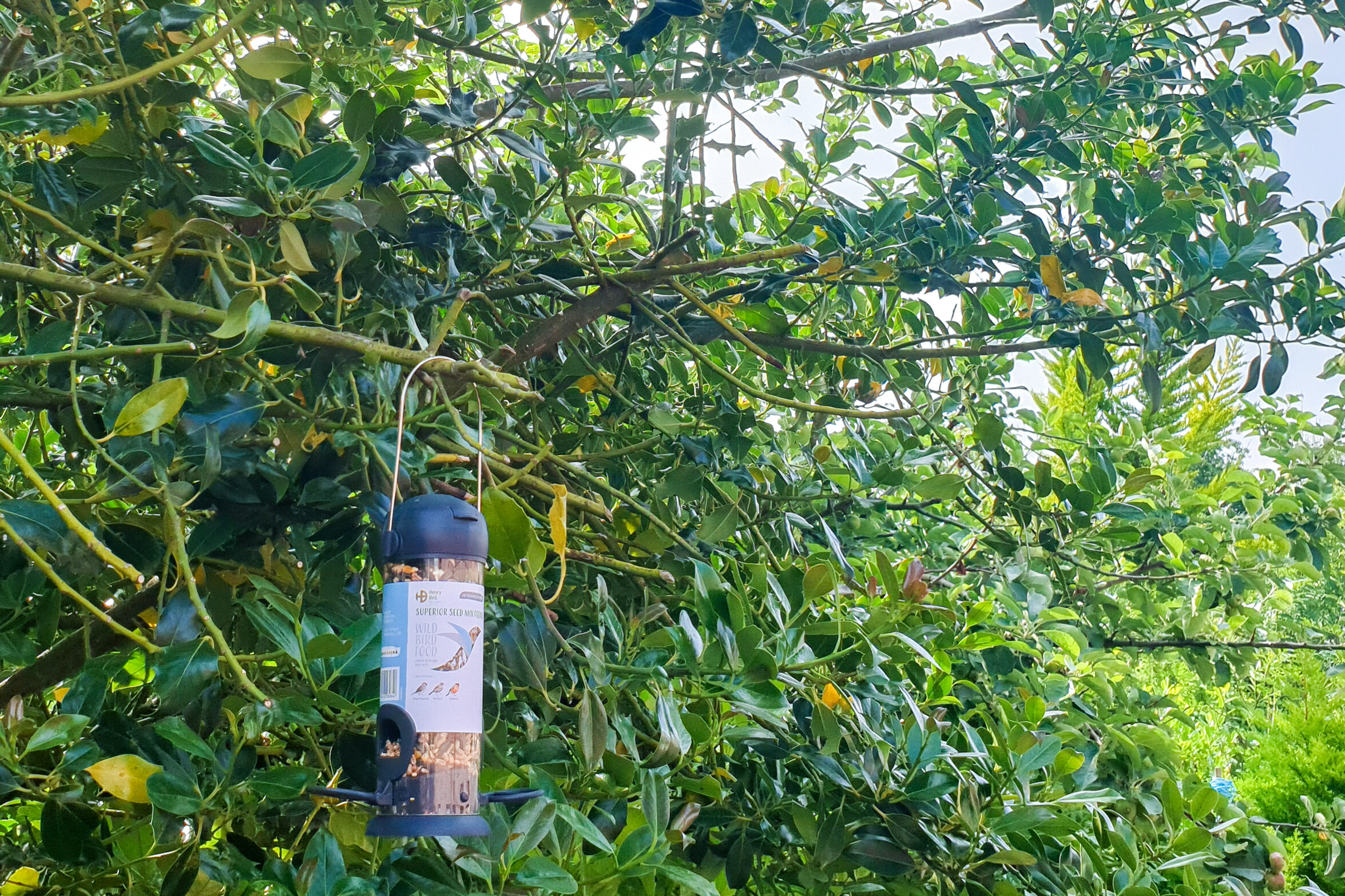 Henry Bell wild bird feeder.jpg