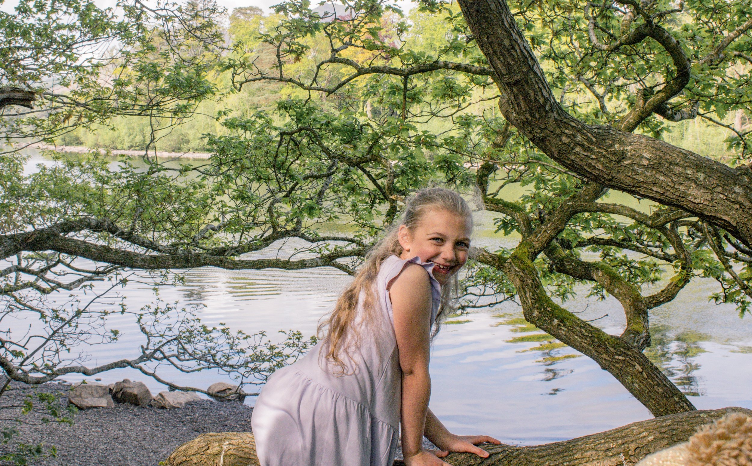 Squidgy is wearing a purple dress and sitting on an overhanging tree she has climbed. Derwentwater stretches out below her with trees and fells beyond.