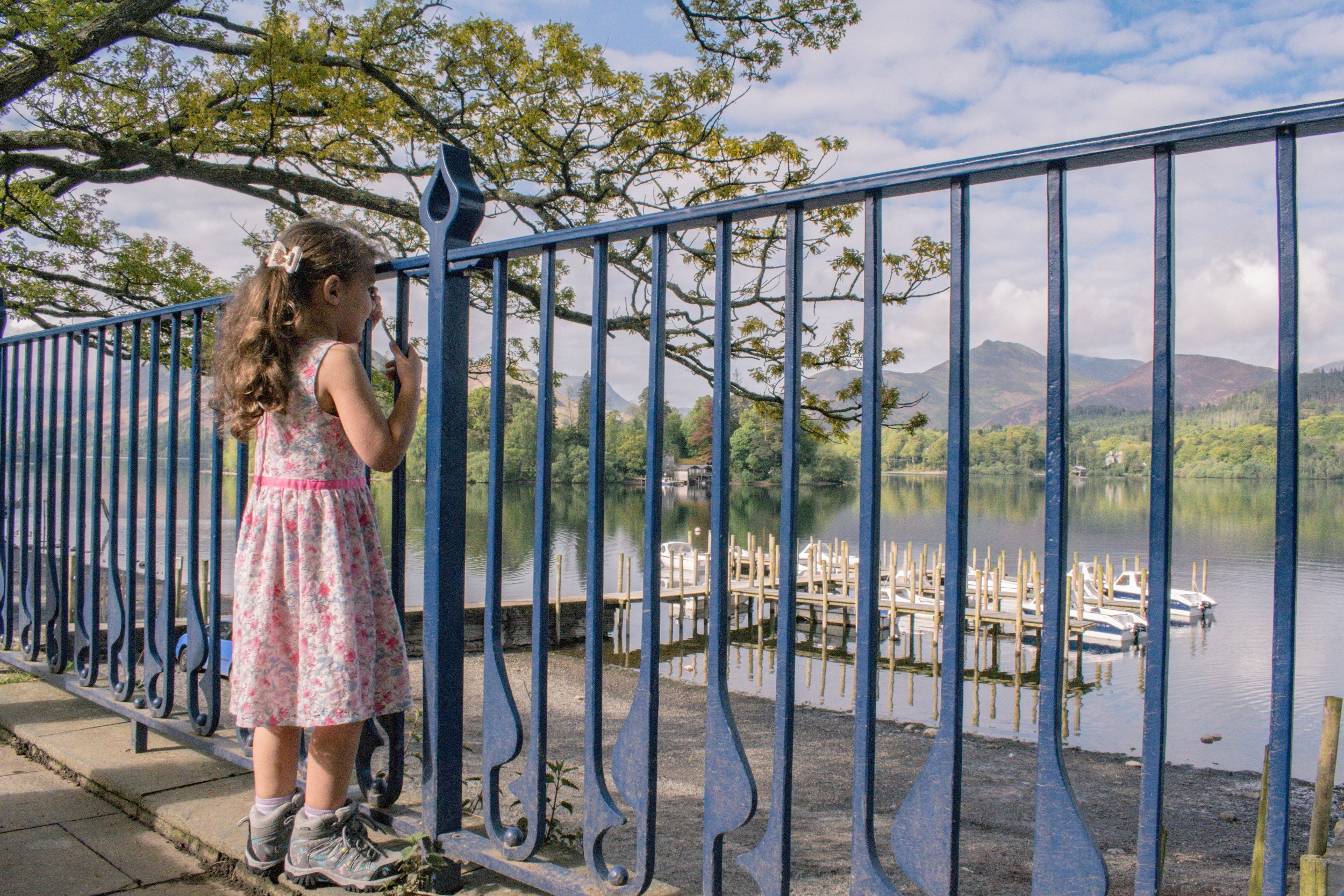 Pickle is stood facing away from the camera at blue metal railings. He is looking out at the jetty and boats on Derwentwater with the Lakeland fells beyond.
