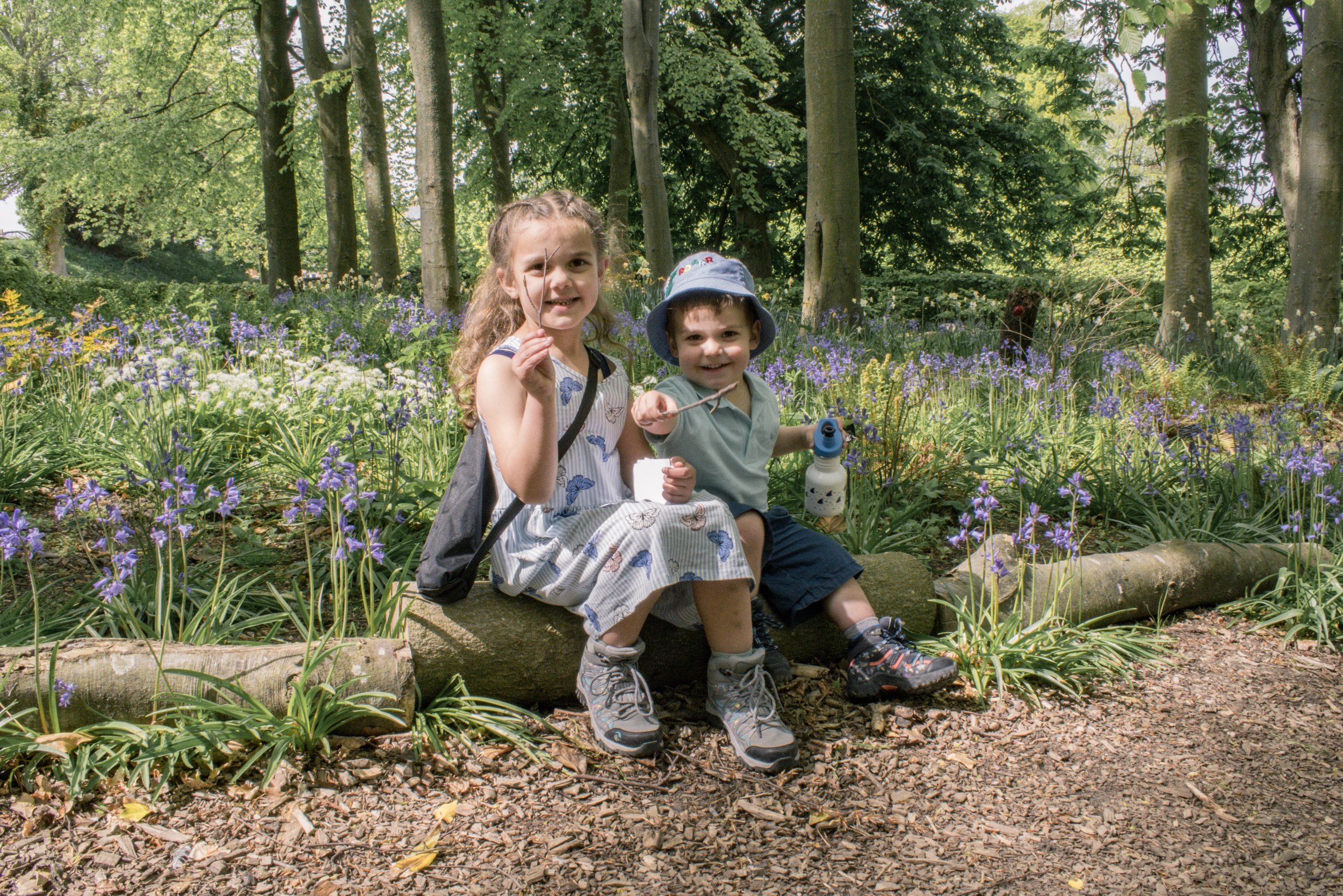 Pickle and Munchkin with bluebells
