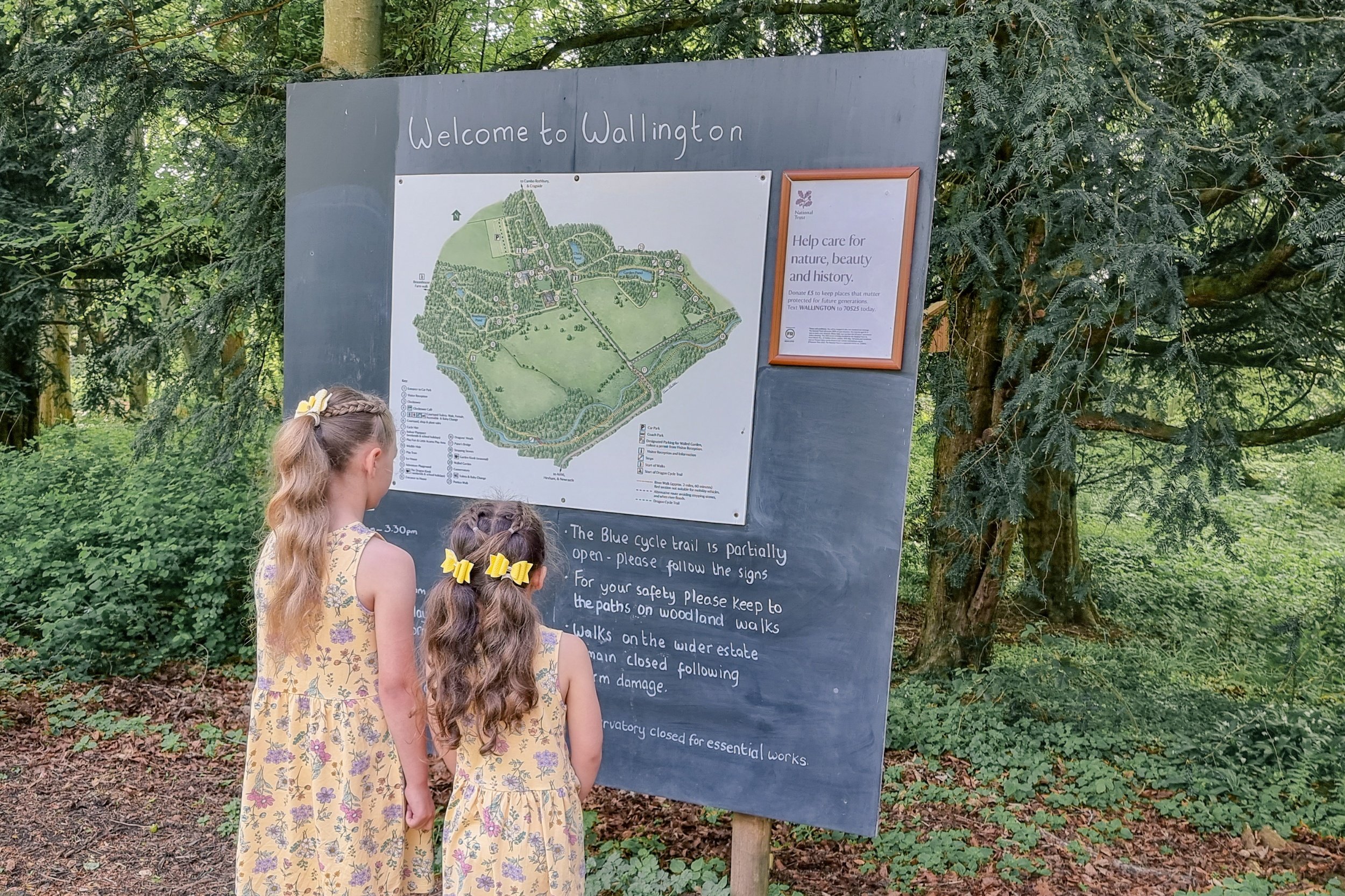 Squidgy and Pickle are in matching yellow floral dresses, and have yellow bows in their hair. They are facing away from the camera looking at a blackboard with the Wallington map on it.