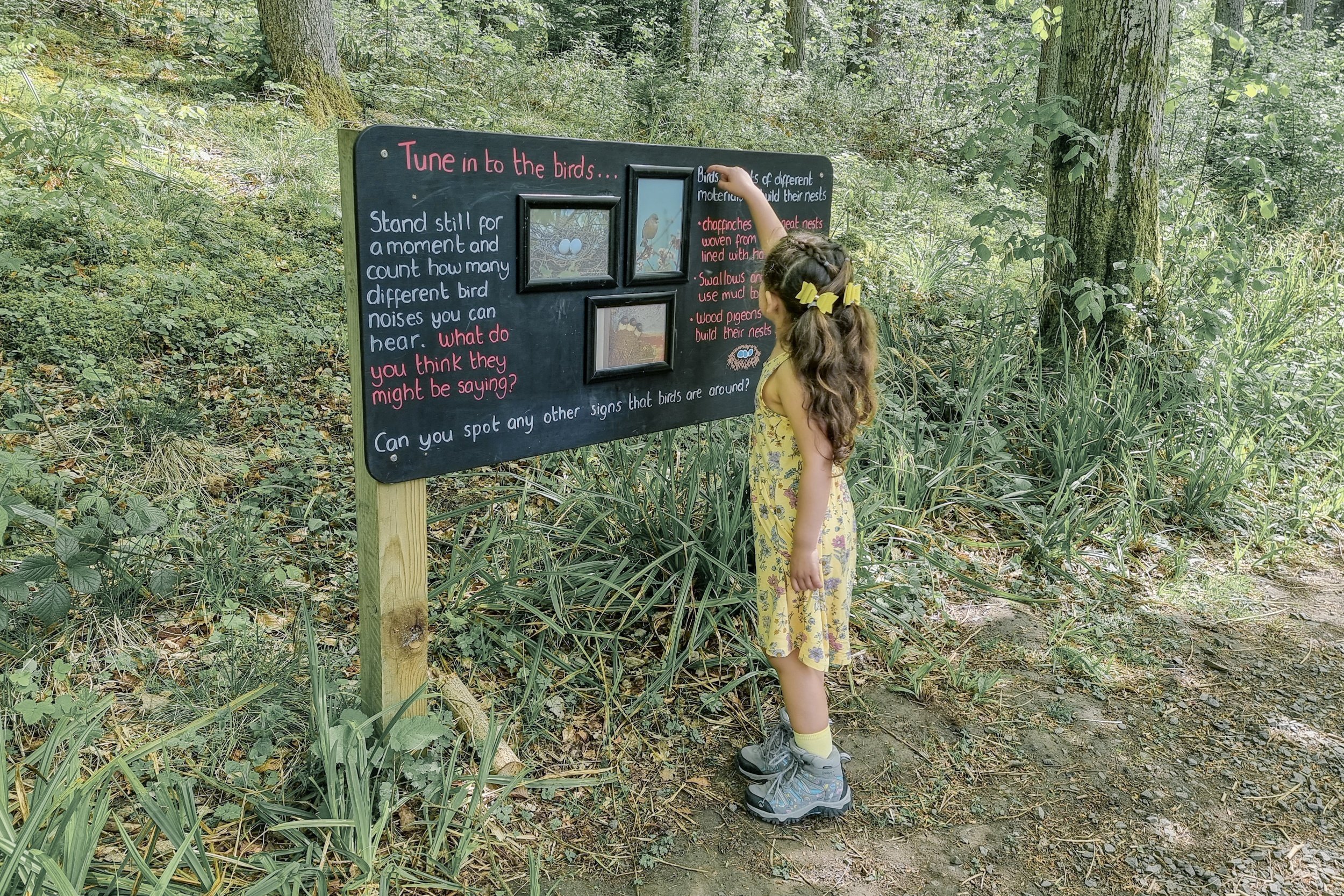 Pickle is stood in a yellow floral dress with yellow bows in her hair. She is facing a blackboard with writing on it trying to read what is says. 